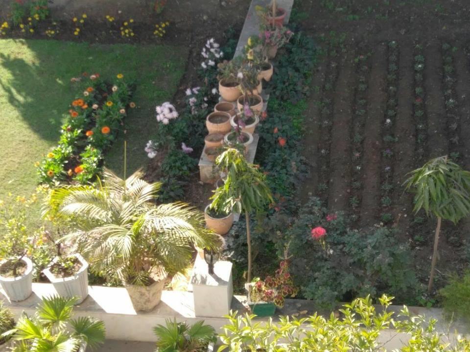 Heritage Homestay Jammu Dış mekan fotoğraf