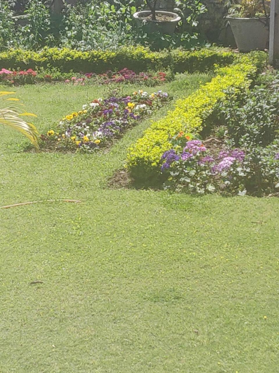Heritage Homestay Jammu Dış mekan fotoğraf