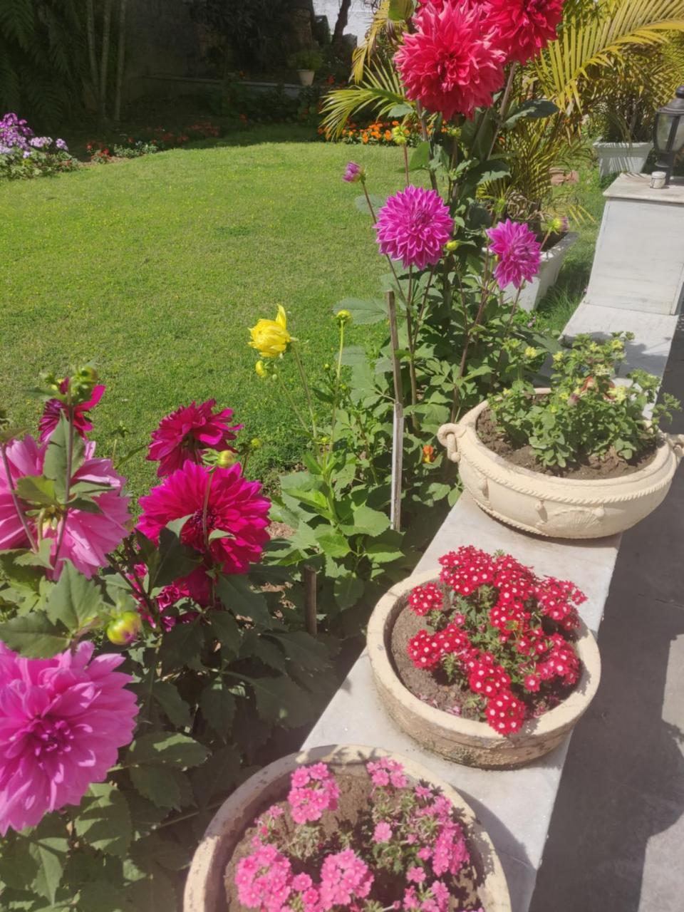 Heritage Homestay Jammu Dış mekan fotoğraf